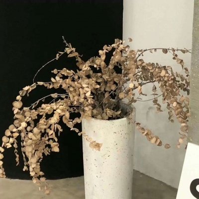 兽设动态构图思路FurryQQ群